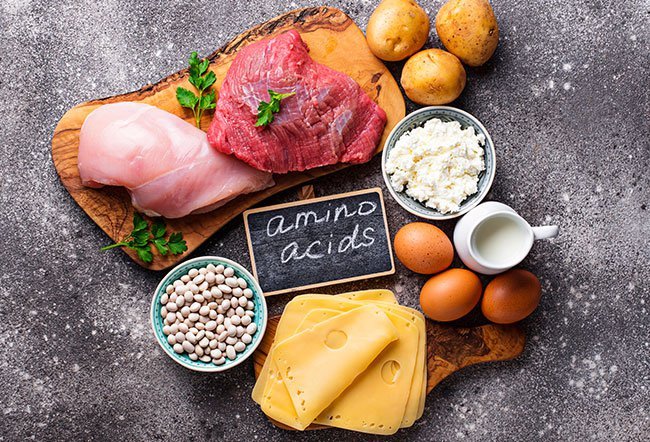 Essential Amino Acids: Definition, Benefits and Food Sources