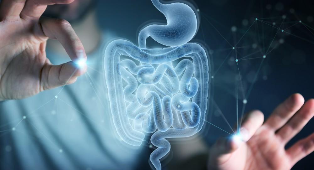Gut health? Here’s what it does?