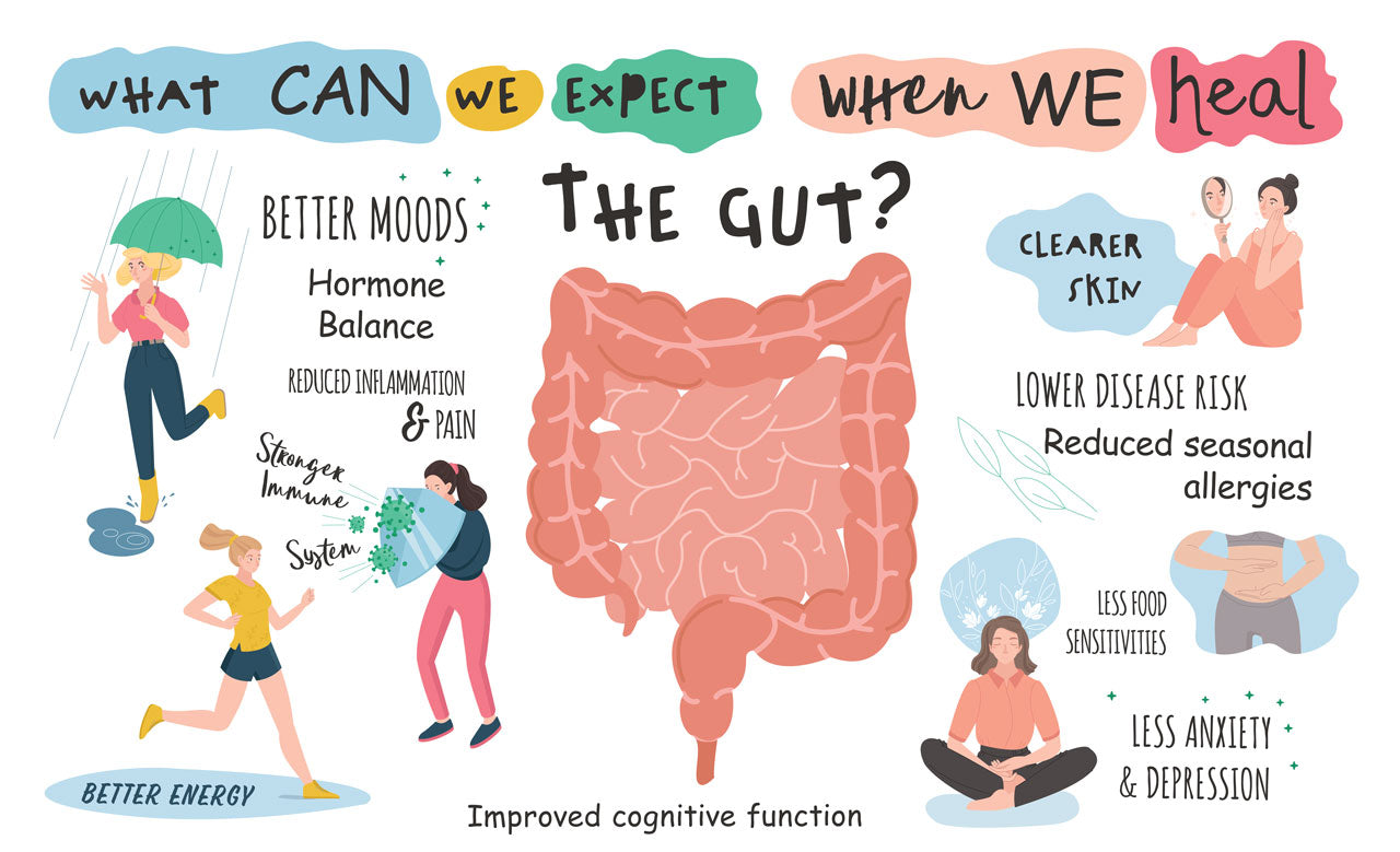 Gut Health: Understanding Your Digestive Ecosystem